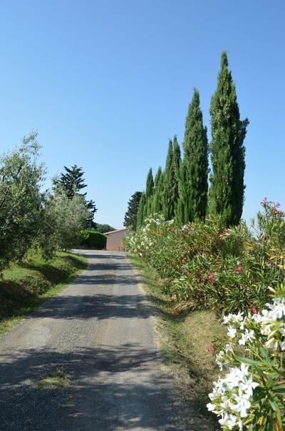 Agriturismo Rosa Dei Venti Βίλα Pomarance Εξωτερικό φωτογραφία